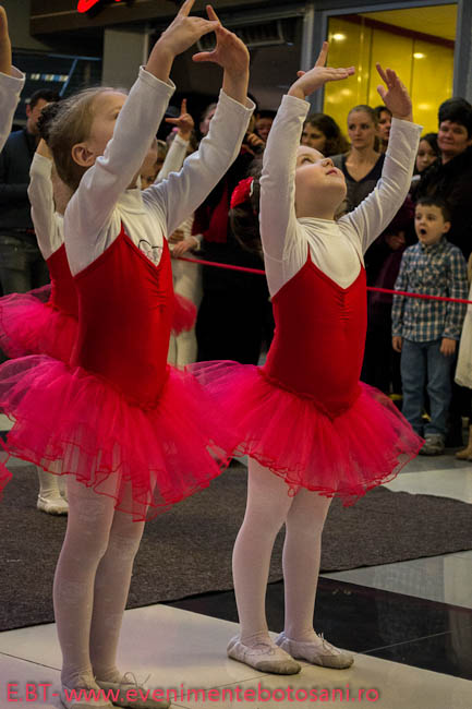 Gala Vedetelor de Martisor, editia a VII a - Botosani Shopping Center, Foto Alin Dospinescu, 8 Martie 2013-72