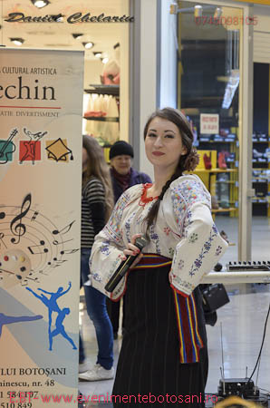 Carnaval Arlechin - Botosani Shopping Center - Daniel Chelaru 2-17