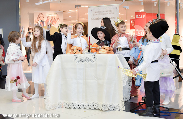 concurs-mihai-eminescu-ianuarie-2016-125-of-256